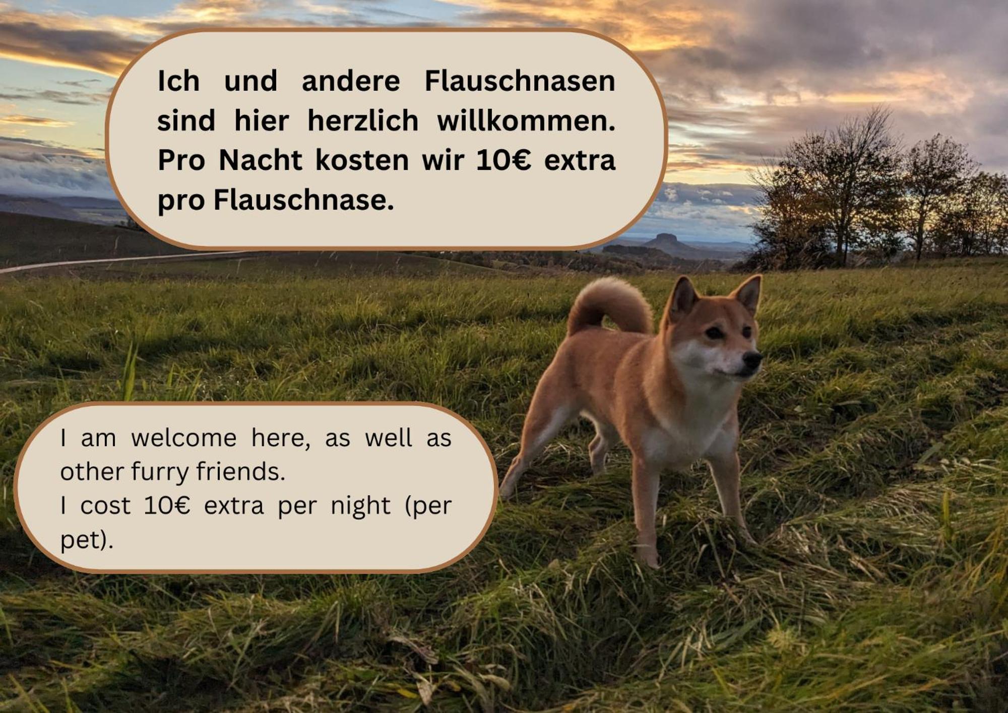 B2 - Urlaubsmagie - Mit Terrasse& Grill Direkt Am Wanderweg Apartment Sebnitz